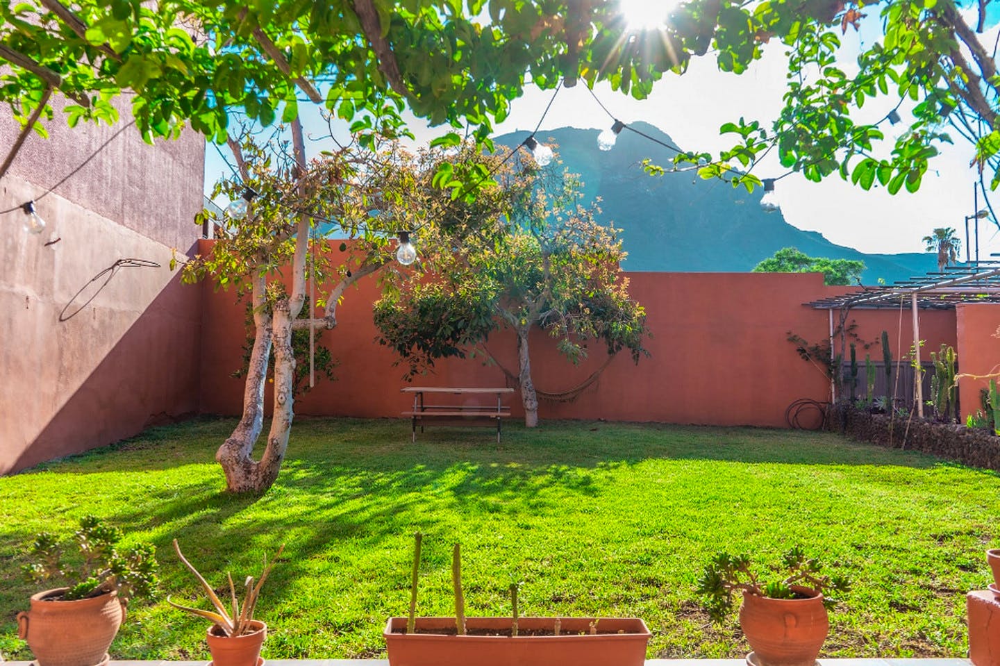 Charming Vibrant House w/ Backyard + Cactus Garden + Yoga